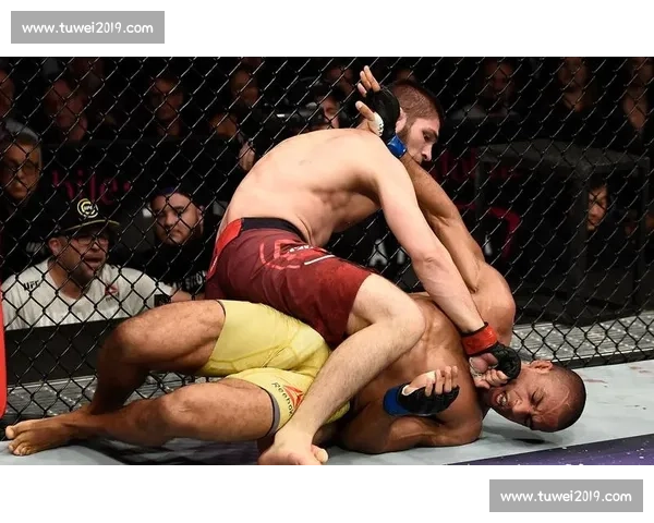 UFC 铁汉巴博萨:逆境中的终极反击 UFC 铁汉巴博萨:逆境中的终极反击