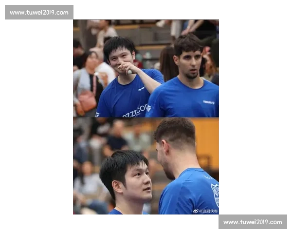 球台无界:樊振东与小弗的跨语言战术日常 球台无界:樊振东与小弗的跨语言战术日常